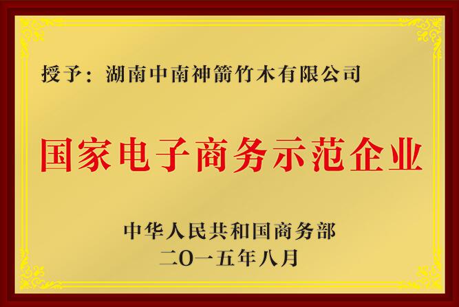 國(guó)家級(jí)電子商務(wù)示范企業(yè)—中南神箭