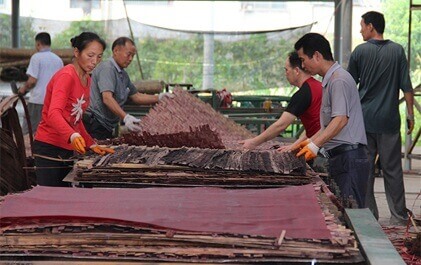 全薄簾竹膠板正在生產(chǎn)中－中南神箭